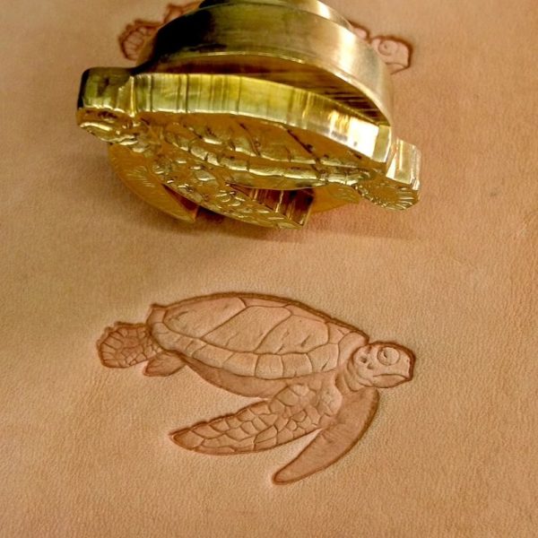 Matoir n°509 Tortue