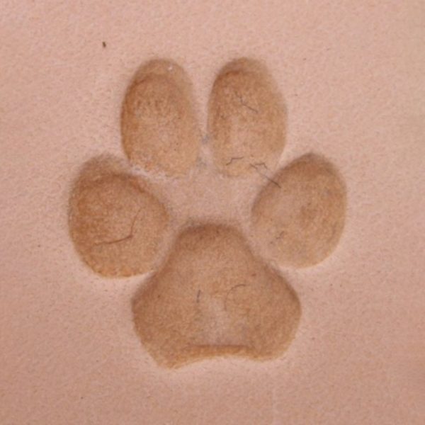 Matoir patte de chien