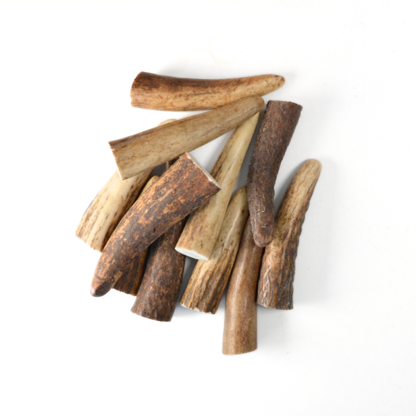Bois de cerf – Petite taille – Lot de 5